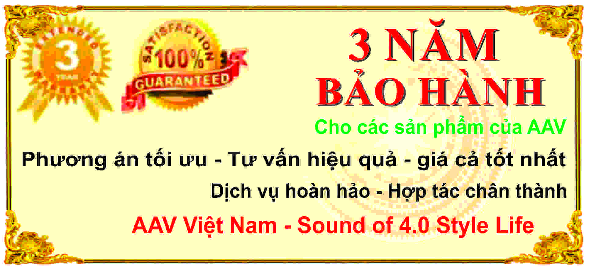 thiết bị âm thanh hãng AAV đều được bảo hành 3 năm sử dụng
