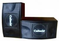Loa Calisia 309 Giá tốt, chất lượng tốt cho karaoke gia đình