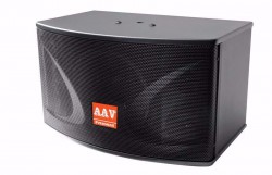 Loa AAV KVS 980 - Dòng loa hội trường sân khấu chất lượng cao Loa AAV KVS 980 - Dòng loa hội trường sân khấu chất lượng cao